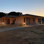 Dei Pini * カポリーヴェリ